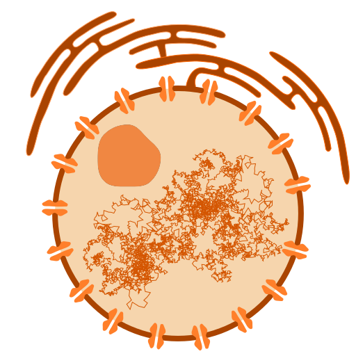 Biology Academy (A-Level) icon