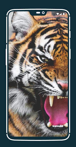 Tiger Wallpapers screenshot 4