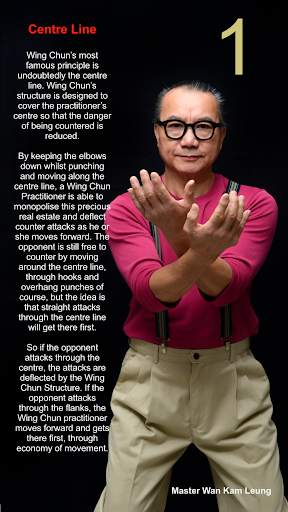 Wing Chun Origins screenshot 7
