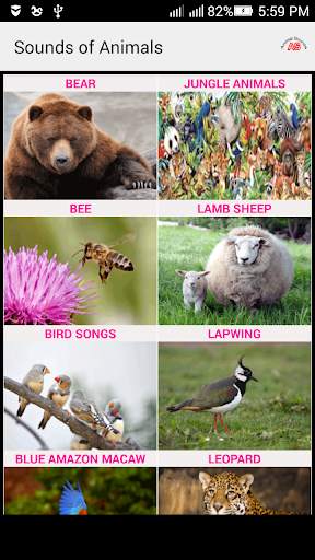 Sounds of Animals and Birds screenshot 1