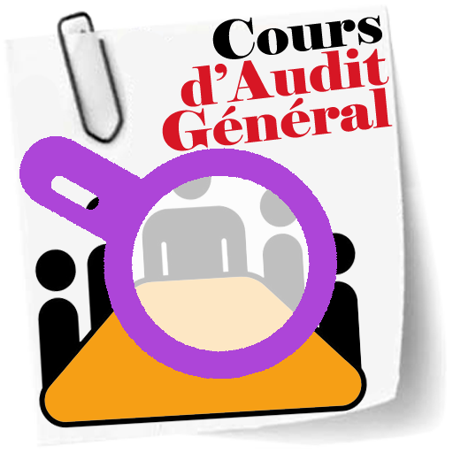 ikon Cours d Audit General