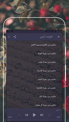 Muhammad Al-Minshawi - The Quran screenshot 6