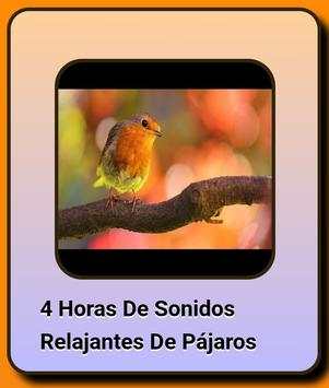 Song of Birds. screenshot 2
