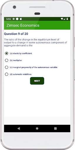 Zimsec Economics Revision screenshot 4