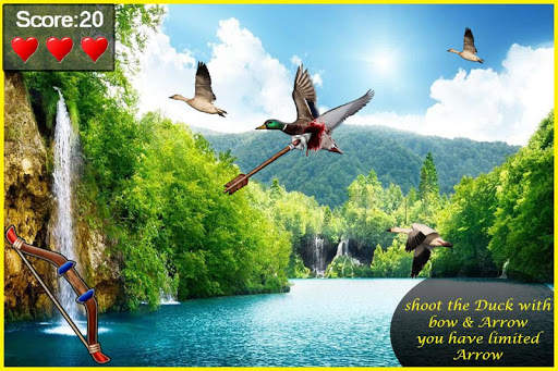 Bird Hunting screenshot 3