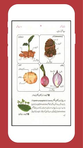 Biology 10 Urdu Medium (Offline) screenshot 2