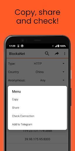 BlockaNet: 프록시 목록 screenshot 3