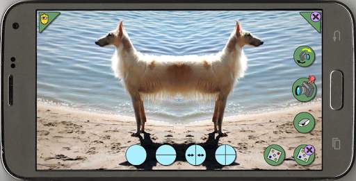 Mirror Camera screenshot 1