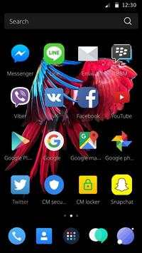 Phoenix Theme screenshot 2