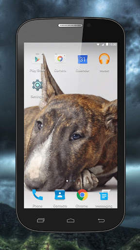 Fighting Dogs Live Wallpaper screenshot 4