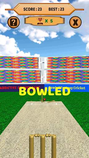 Bowled 3D - Cricket Game screenshot 10