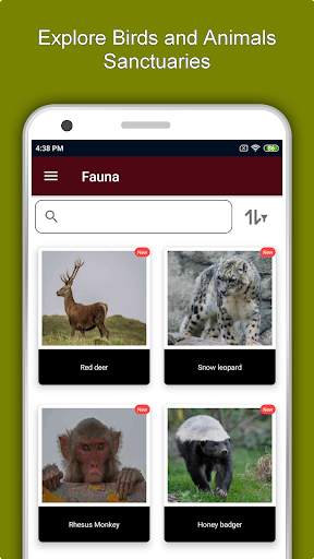 Kathmandu Travel & Explore, Of screenshot 5