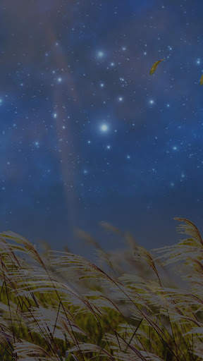 Natural Reed Live Wallpaper screenshot 4