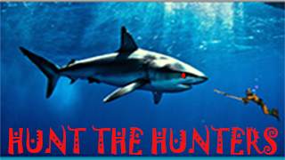 Mega Shark hunting  : Shark Games screenshot 1