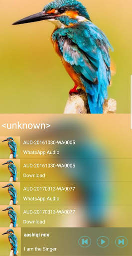 Magnetic Music Player - Gaana Karaoke screenshot 6