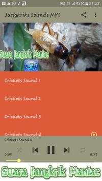 Cricket Sounds Night screenshot 3