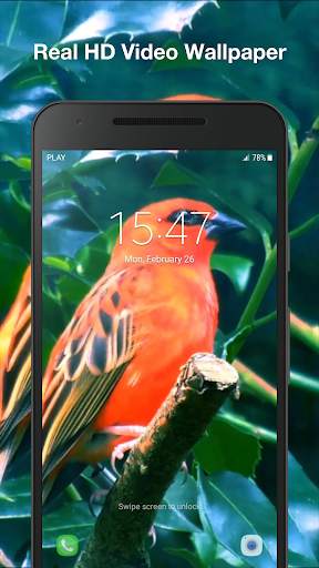 Birds Live Wallpaper PRO screenshot 3