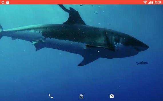 Shark Predator Attack LWP screenshot 5
