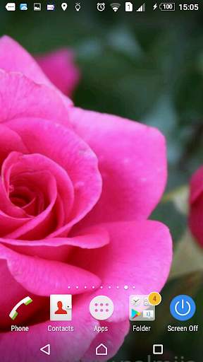 Gardener's roses screenshot 2