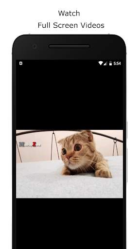 Funny Cat Videos screenshot 3