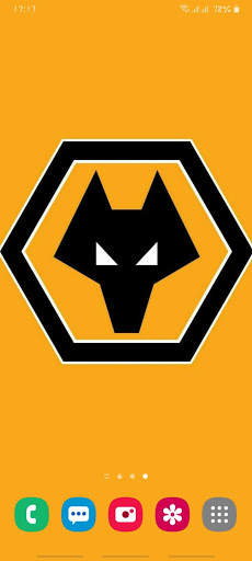 Wolves Wallpapers & Lock Screen 7 تصوير الشاشة
