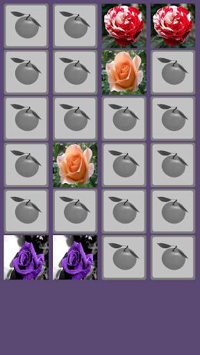 Rose Memory Game screenshot 4