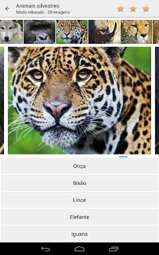 Foto Quiz - Adivinha Pictures screenshot 5