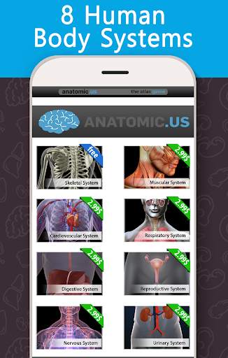 Anatomy Game Anatomicus Lite screenshot 1