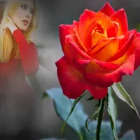 Flower Photo Frames icon