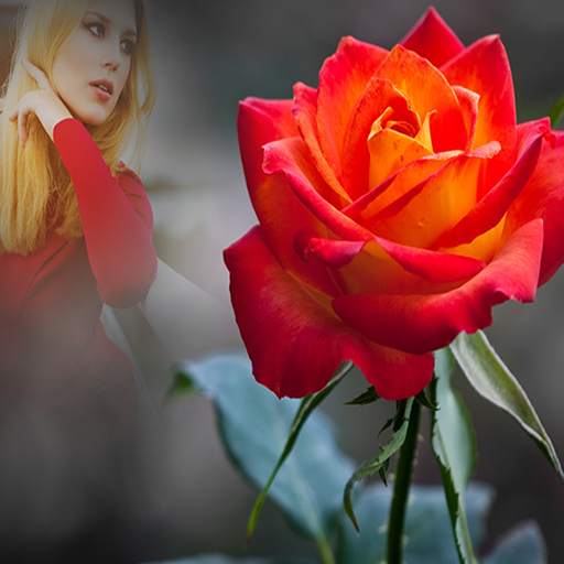 Flower Photo Frames 3.8