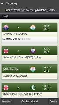 Cricket World screenshot 4