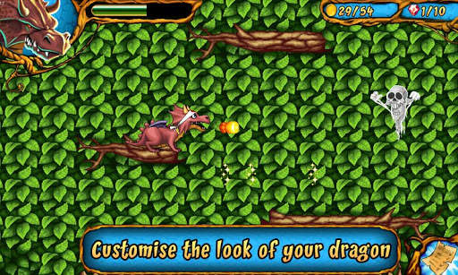 Dragon & Dracula screenshot 7