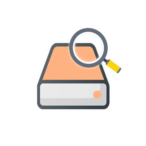 Disk Video Recovery 2.0.1