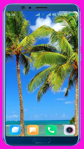Palm Tree Wallpaper screenshot 3