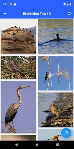 Birds of Jordan скриншот 6