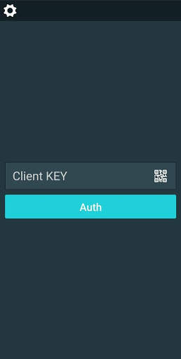 2Captcha bot screenshot 7