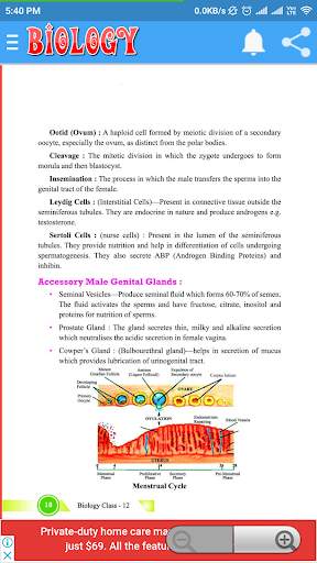 Class 12 Biology Notes screenshot 4