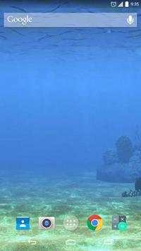 Dangerous Big Shark Live screenshot 2