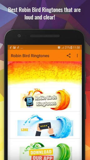 Robin Bird Ringtones screenshot 1