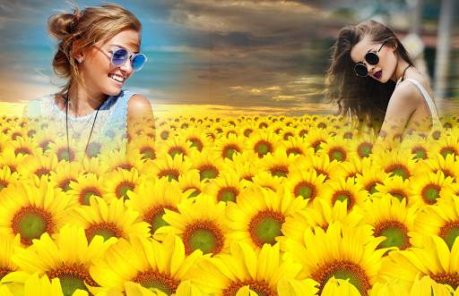 Sunflower Photo Frames 1 تصوير الشاشة
