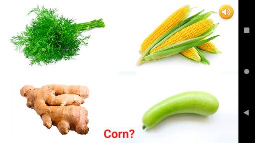 Fruits & Vegetables скриншот 6
