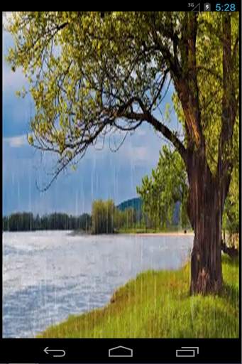 Rain Live Wallpaper screenshot 2