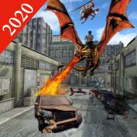 Angry Dragons Champ 2020