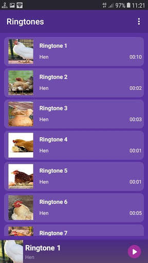 Hen sounds for Ringtones and Wallpapers screenshot 1