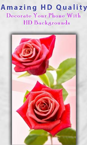 Rose Wallpapers HD screenshot 5