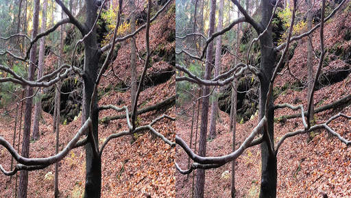 Camera 3D - 3D Photo Maker screenshot 11