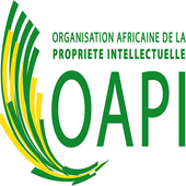 OAPI icon