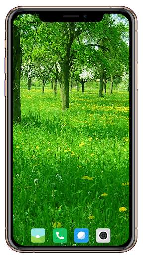 HD Grass Wallpaper screenshot 11