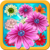 Blossom Strike Mania icon