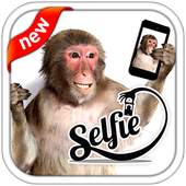 Selfie With Monkey 1.0